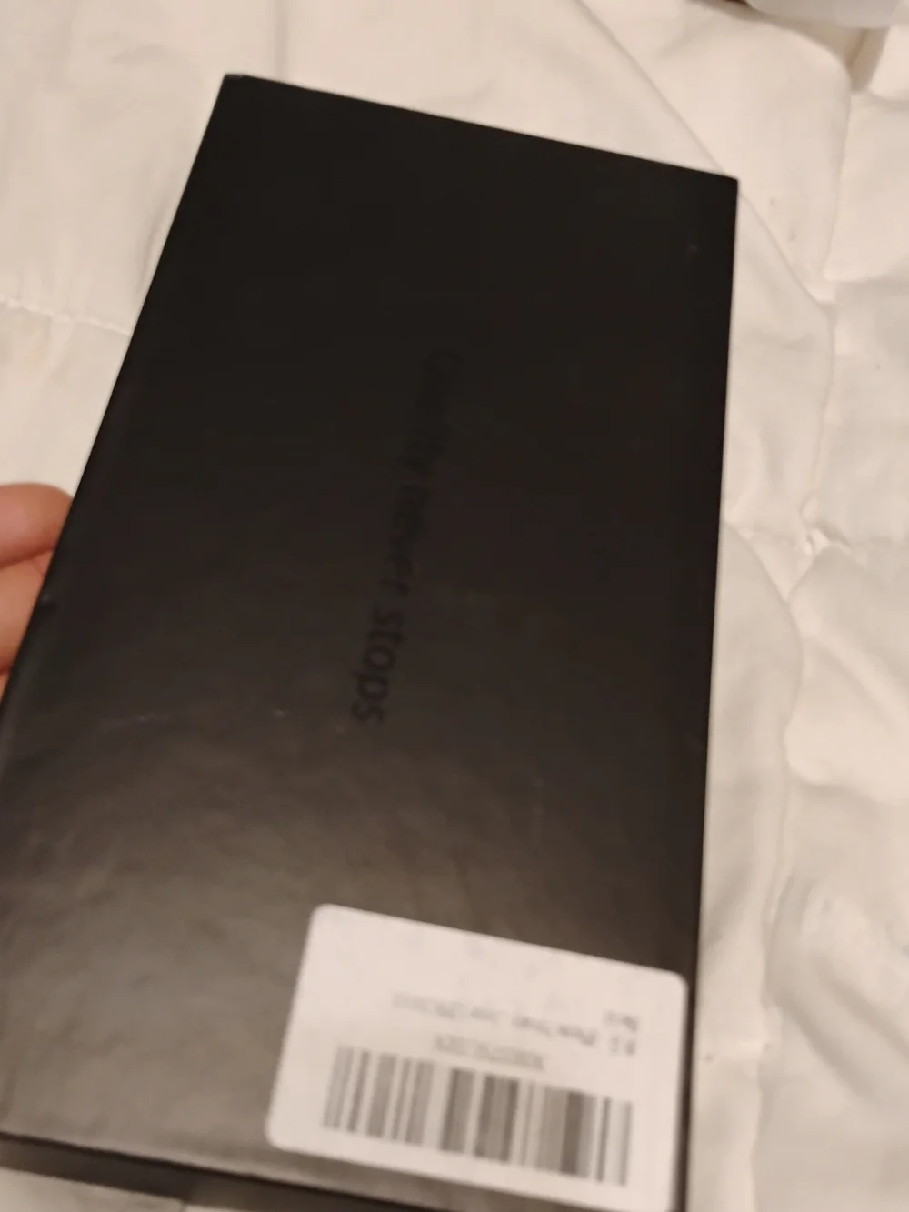 12 Pro Max Privacy Screen