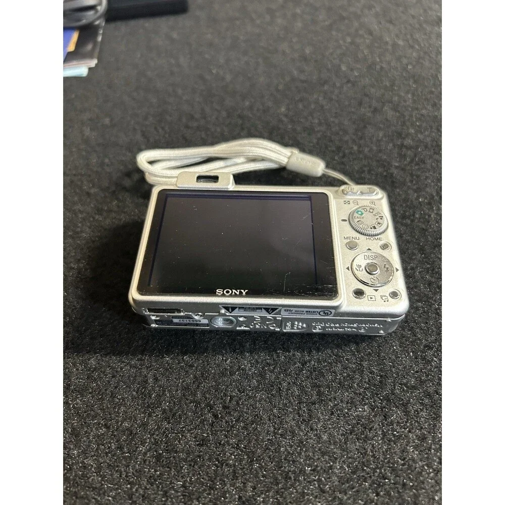 Sony Cybershot DSC-W170 10.1MP Digital Camera-Battery, Charger, Manuals Case B-5