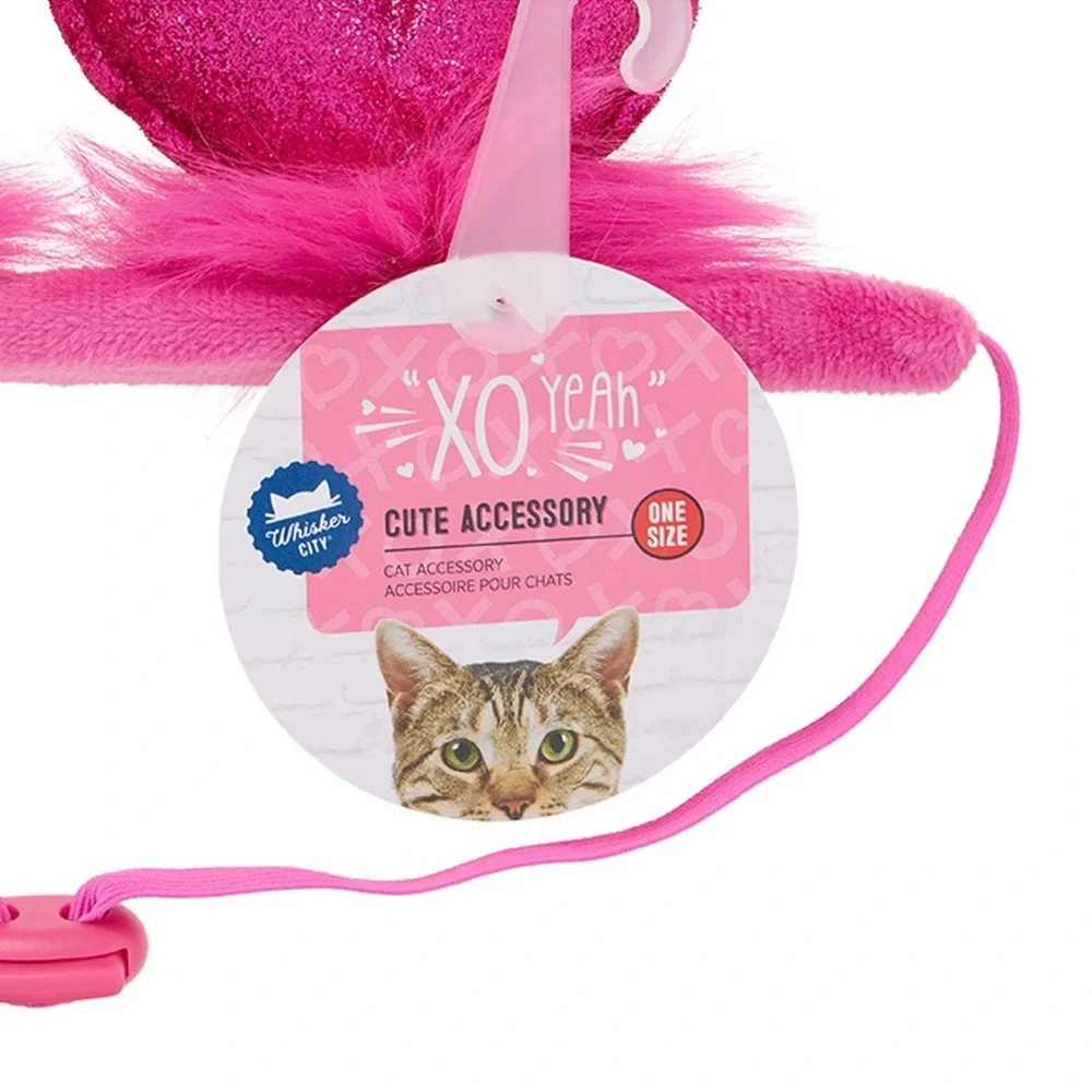 Whisker City let your