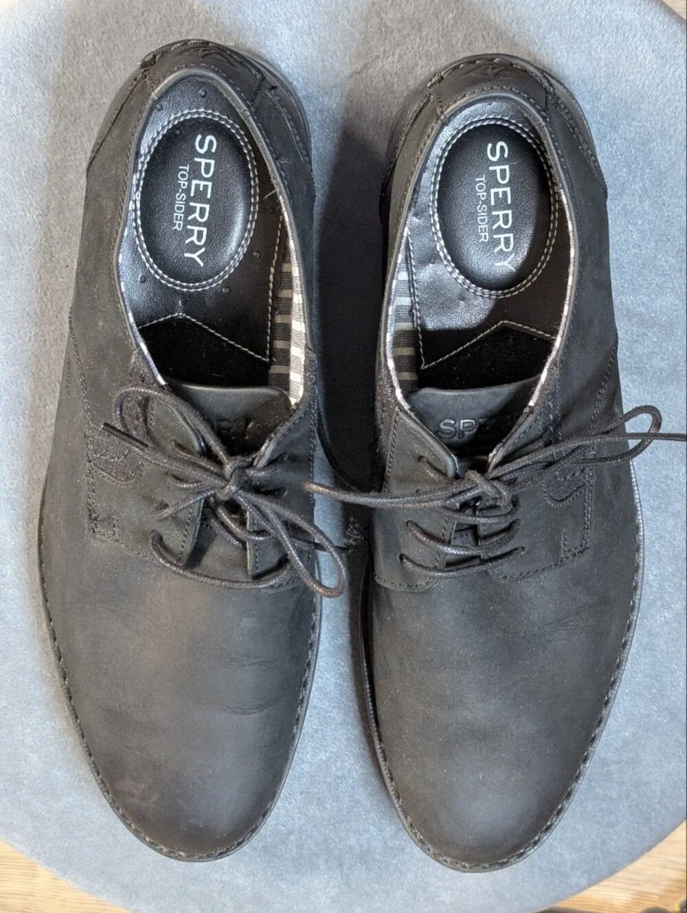 Sperry men derby