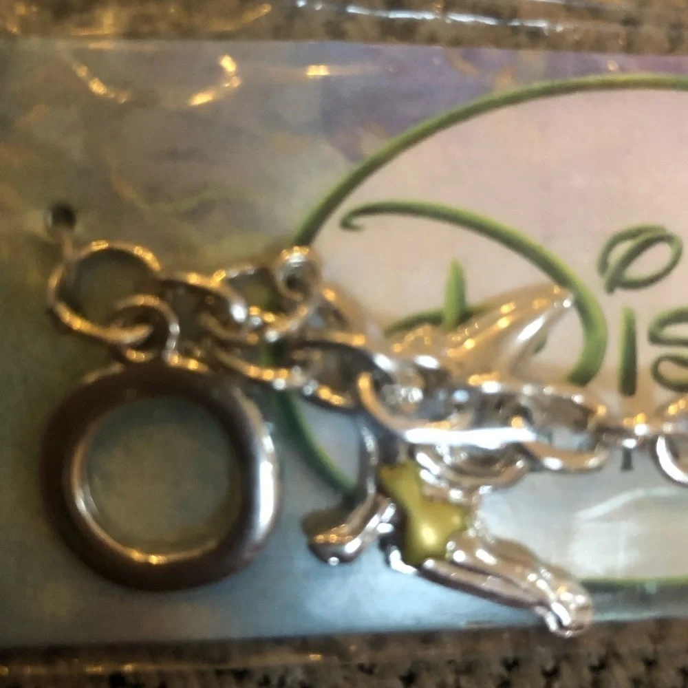 Disney enchanting charm