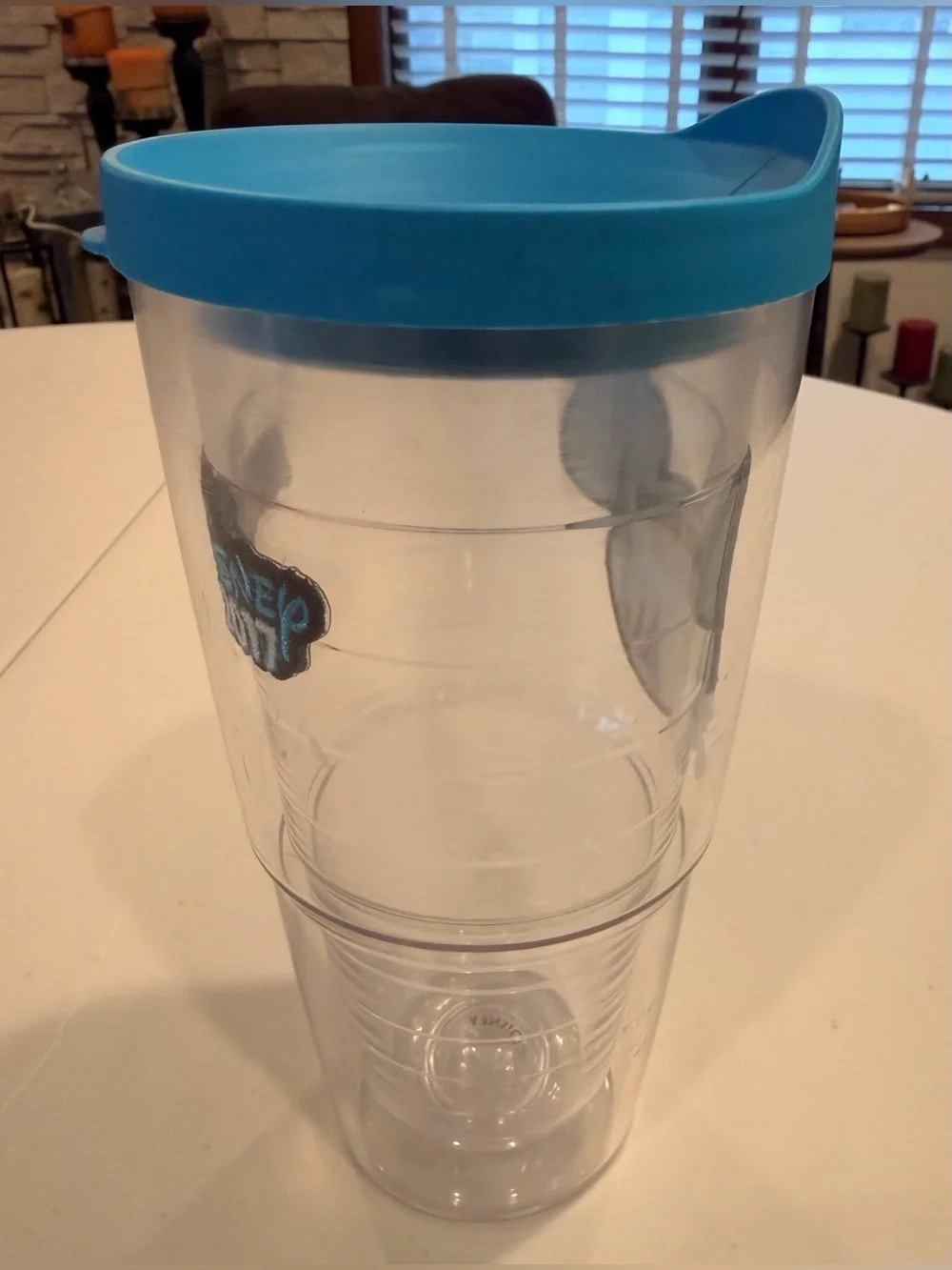 tervis 24oz disney