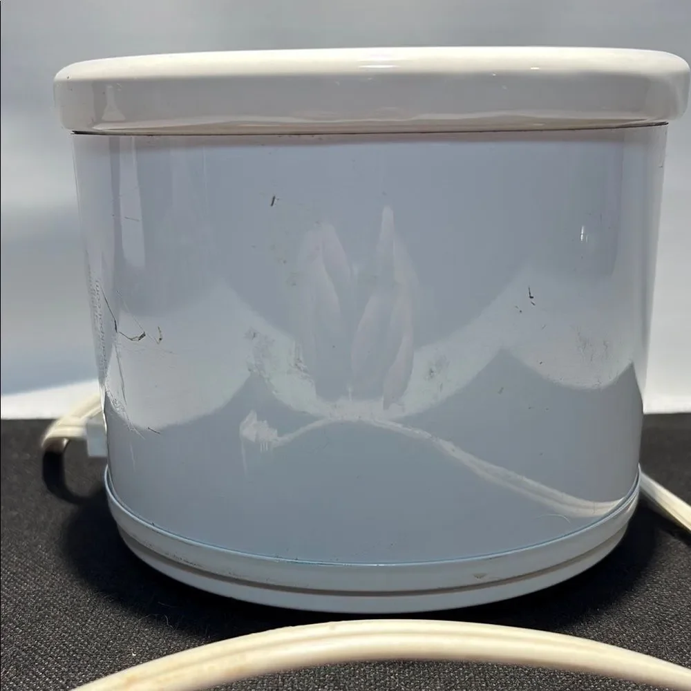 Crock Pot little dipper