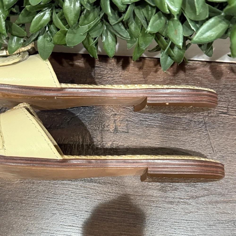 Sam Edelman chic mules