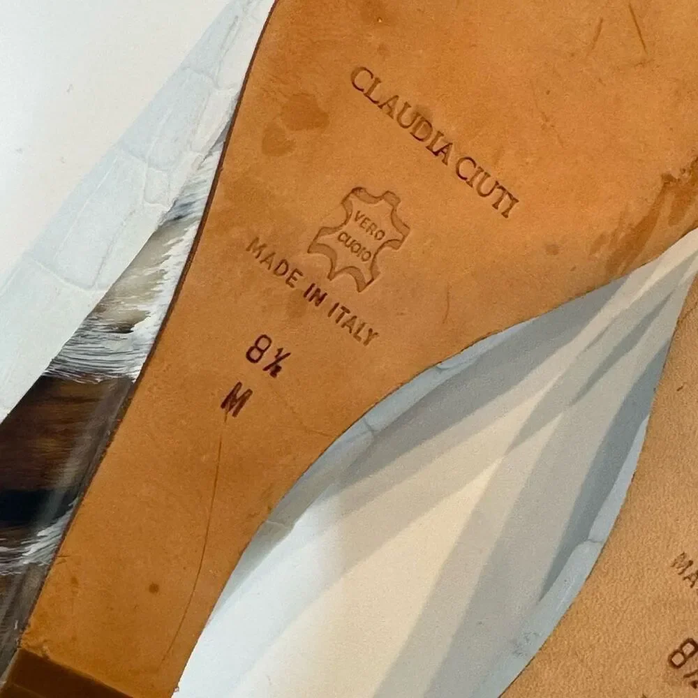 claudio ciuti