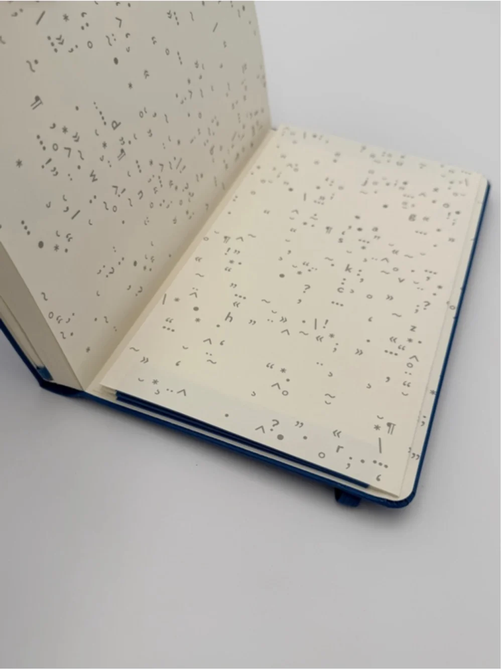 Moleskine new never