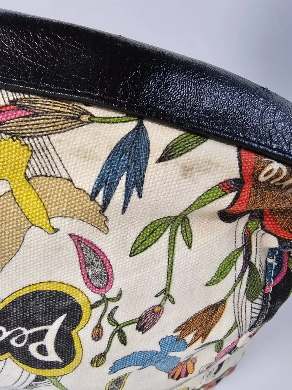 The Sak multicolor canvas