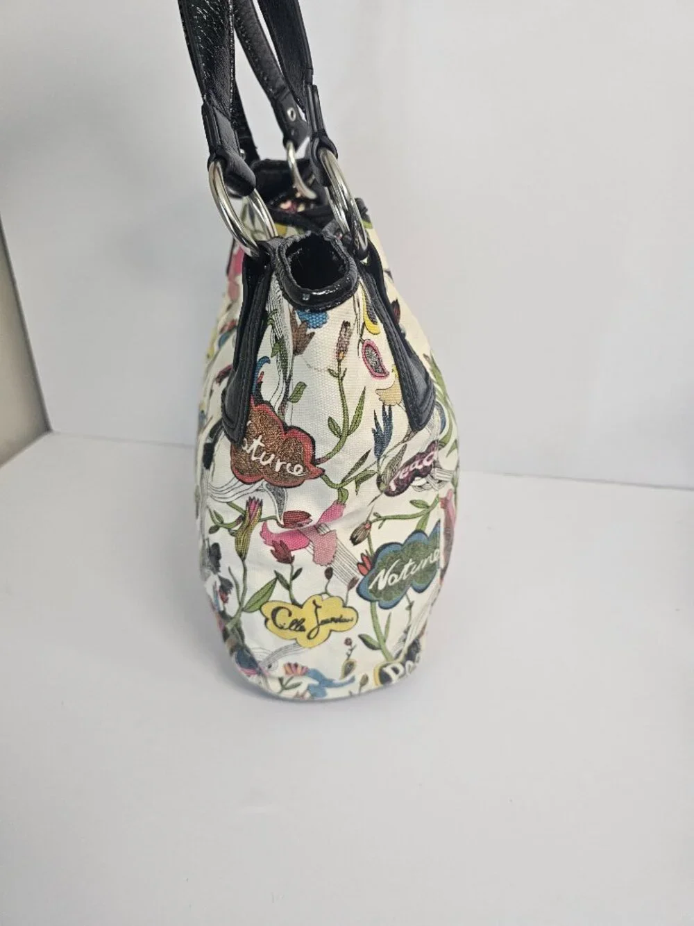 The Sak multicolor canvas