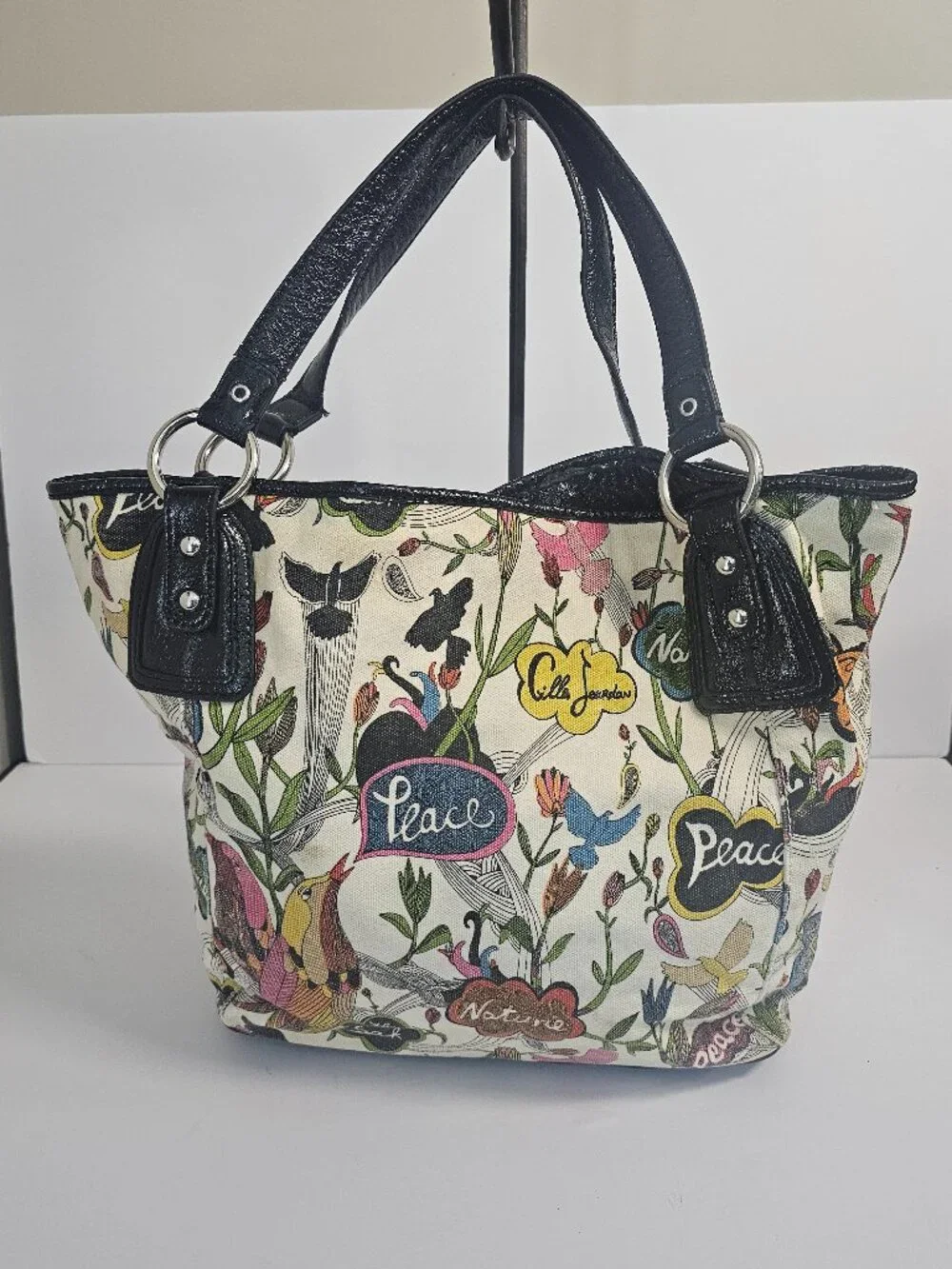 The Sak multicolor canvas