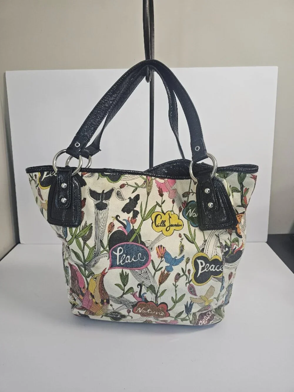 The Sak multicolor canvas
