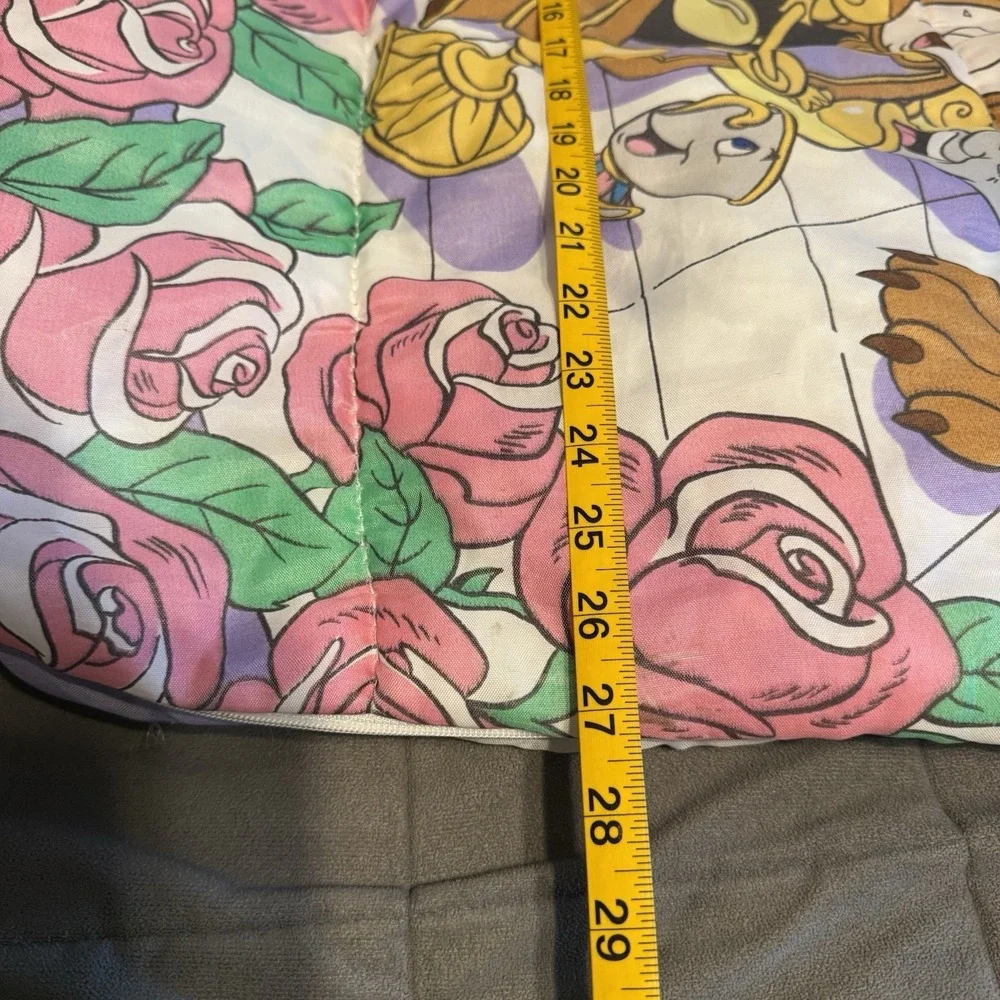 Disney measurements are