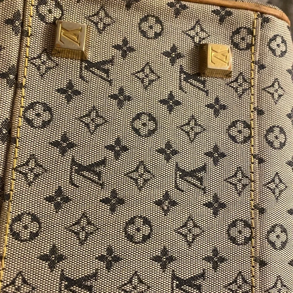 Louis Vuitton authentic louis
