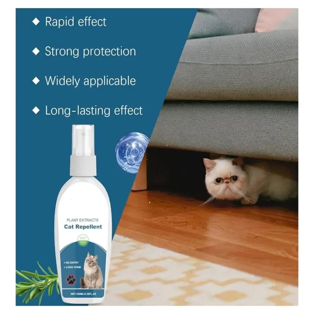 Unbranded safe pet