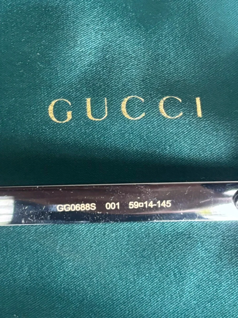 Gucci authentic model