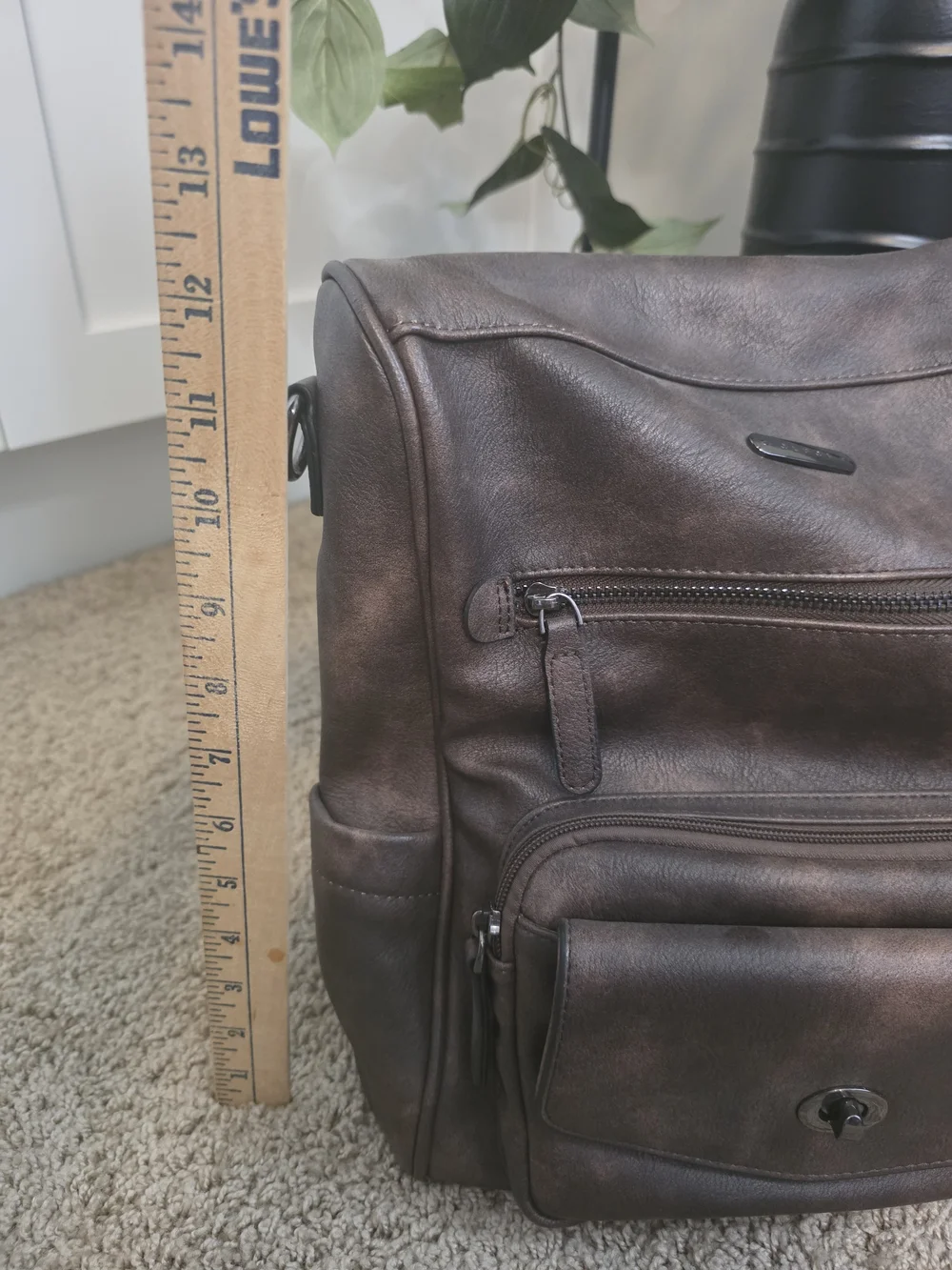 Cluci stylish brown