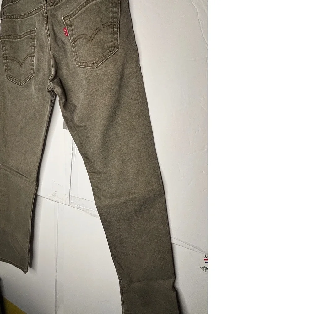 Levis levis 511
