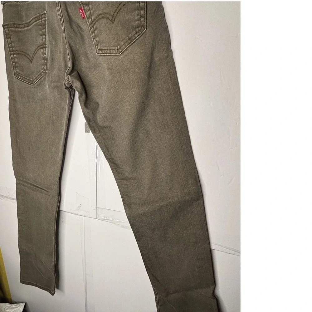 Levis levis 511