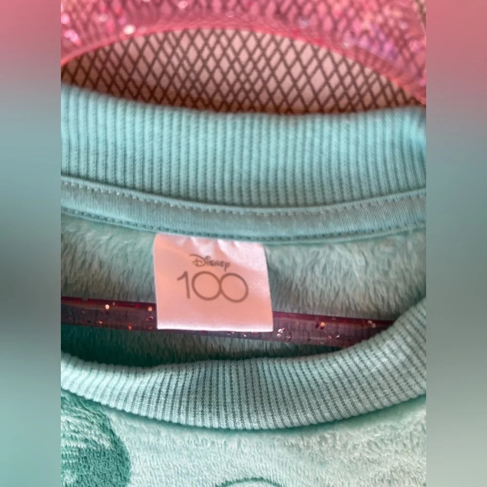 Disney 100 princess