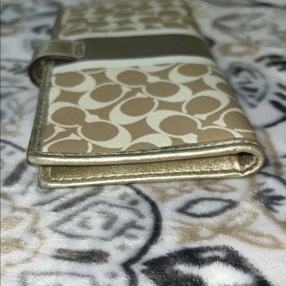 Coach elegant women