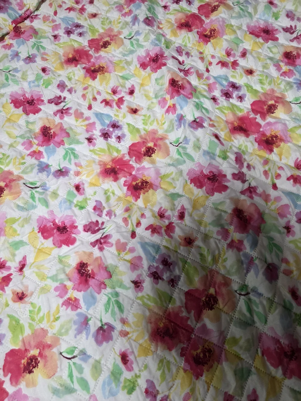 Kingston colorful floral