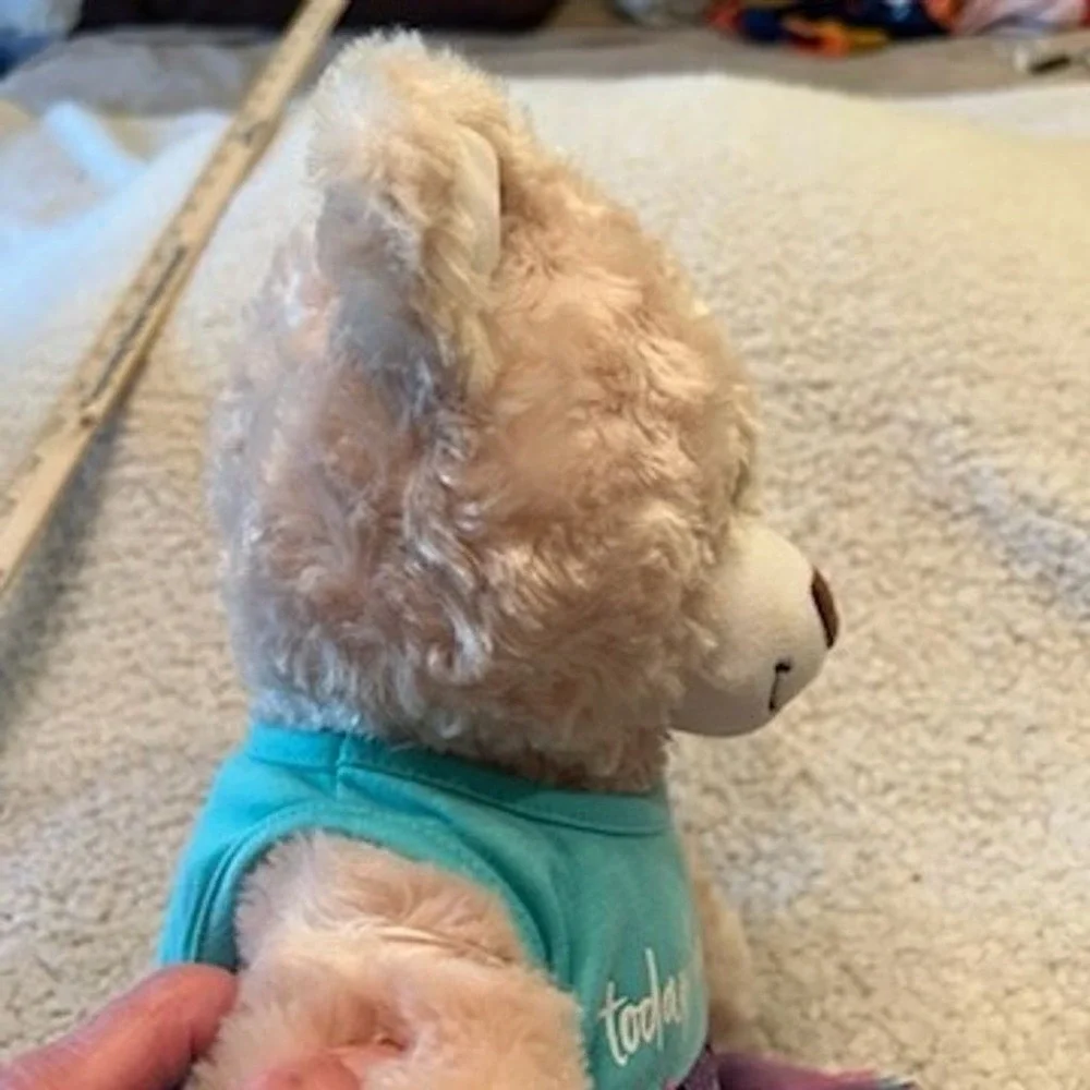 Build-A-Bear this build