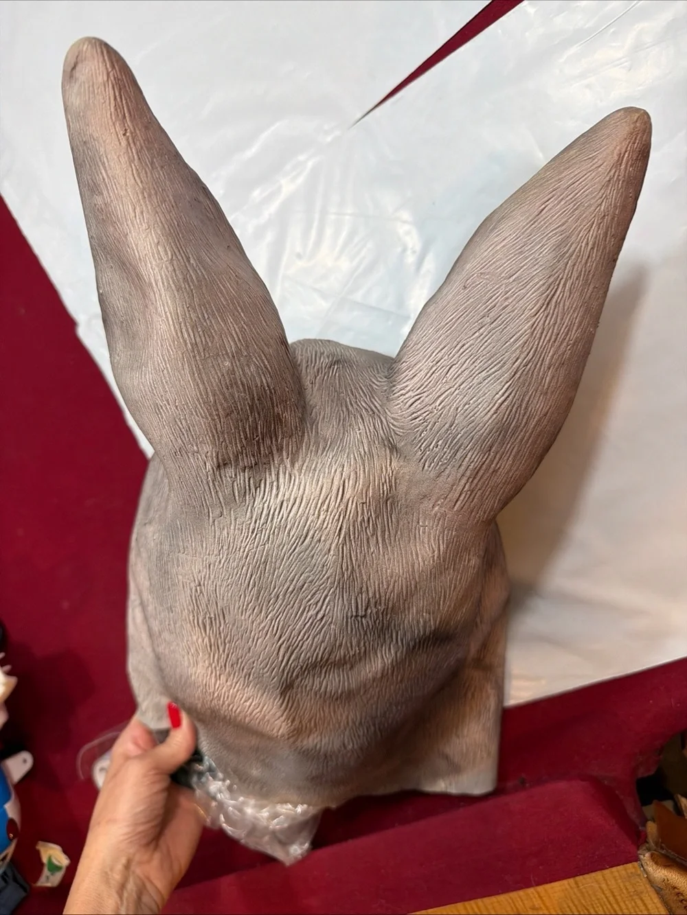 Unmarked kangaroo mask