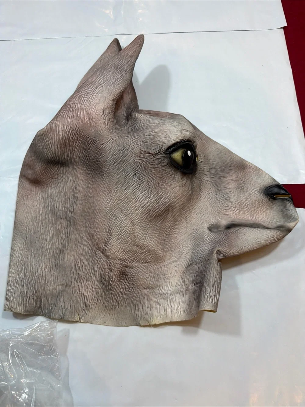Unmarked kangaroo mask