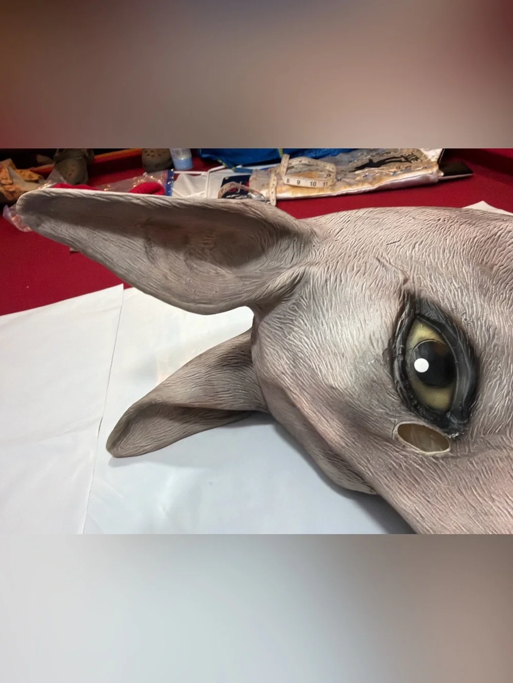 Unmarked kangaroo mask