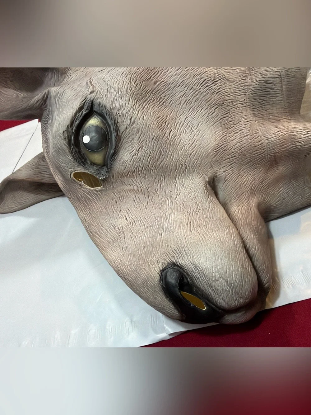 Unmarked kangaroo mask