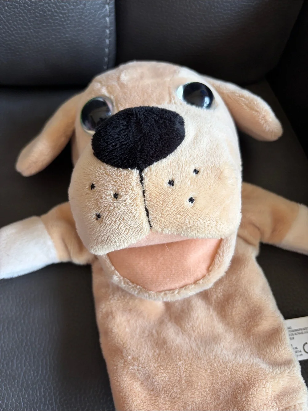Set of Two Plush Puppy Puppets