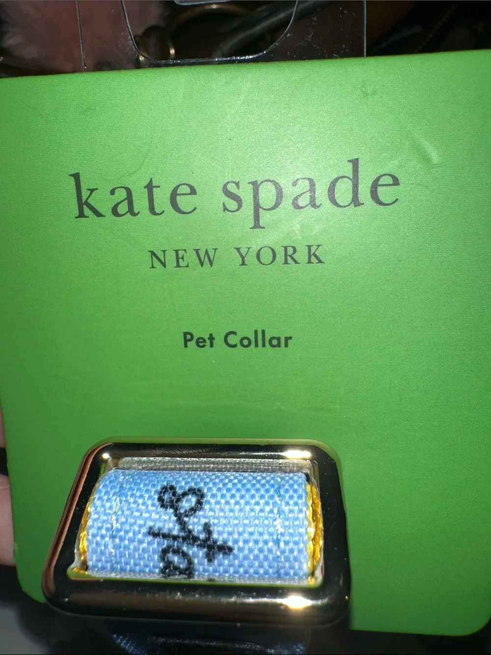 kate spade designer kate