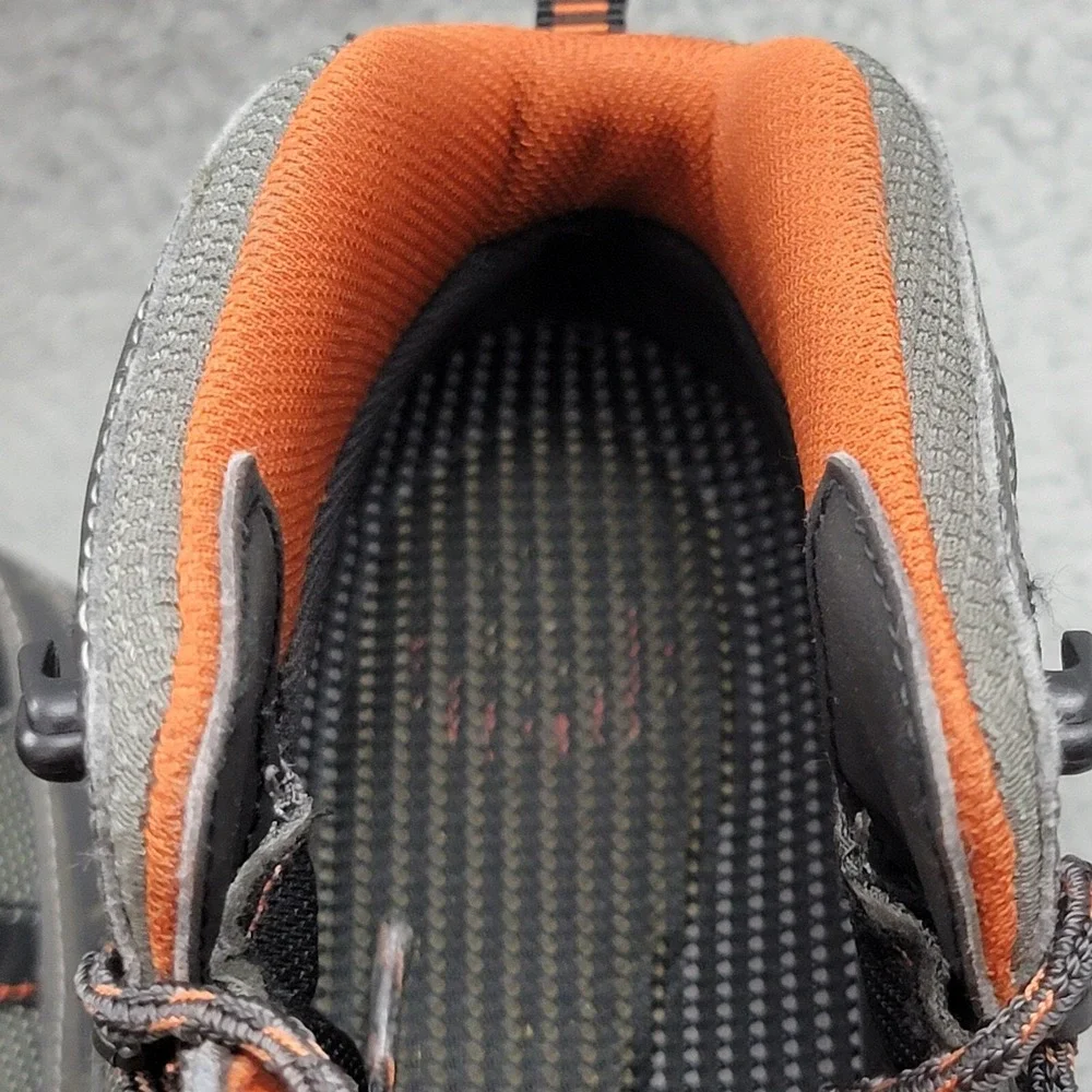 Irish Setter red wing
