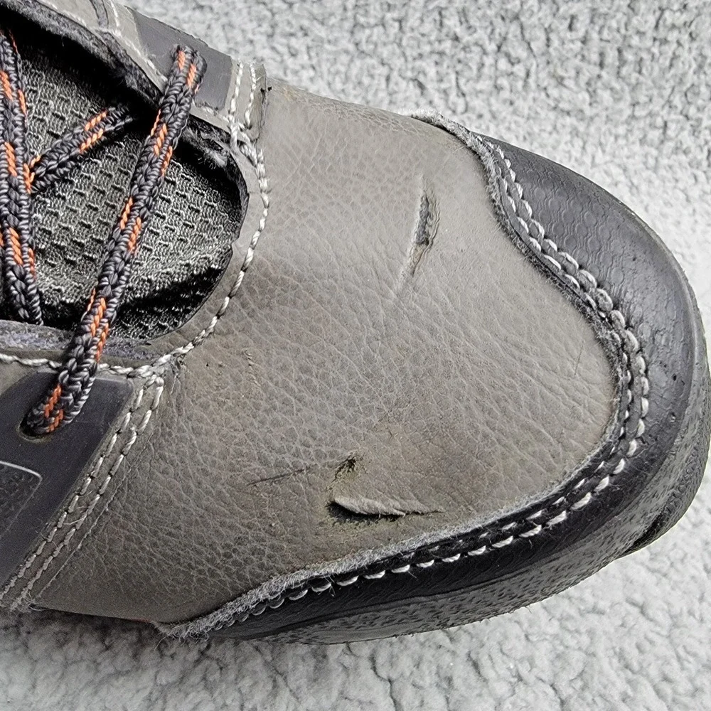 Irish Setter red wing