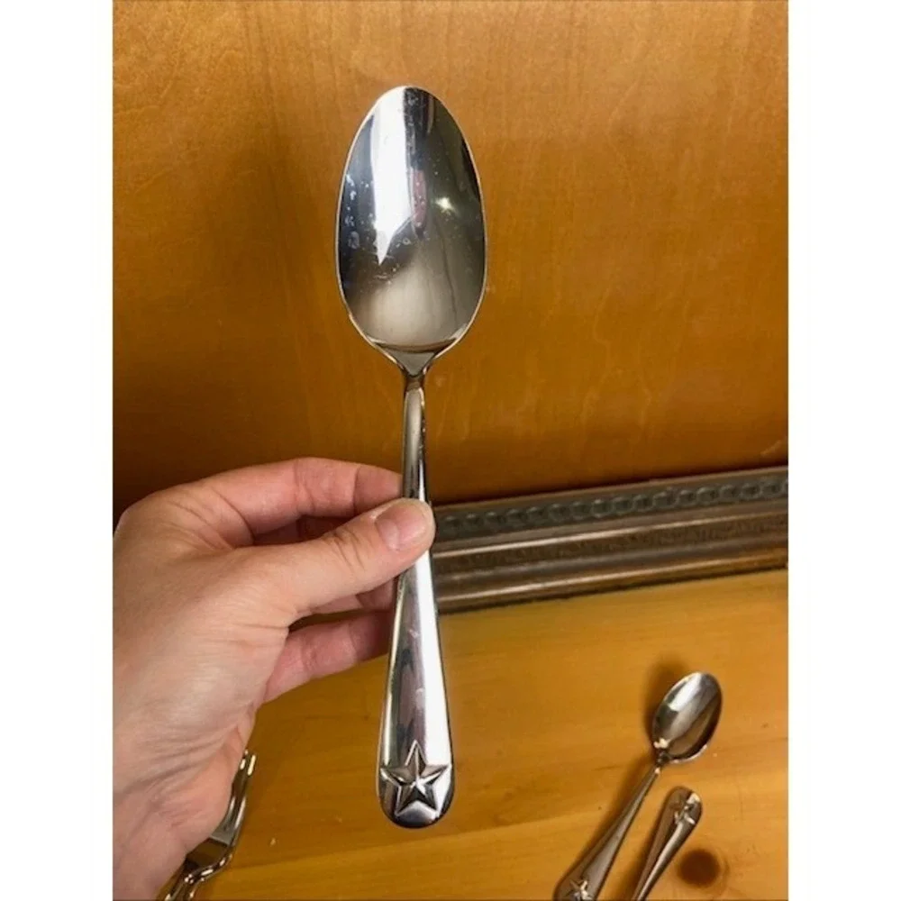 Oneida tindra stainless
