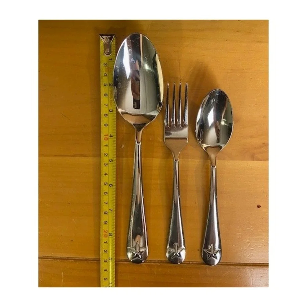 Oneida tindra stainless