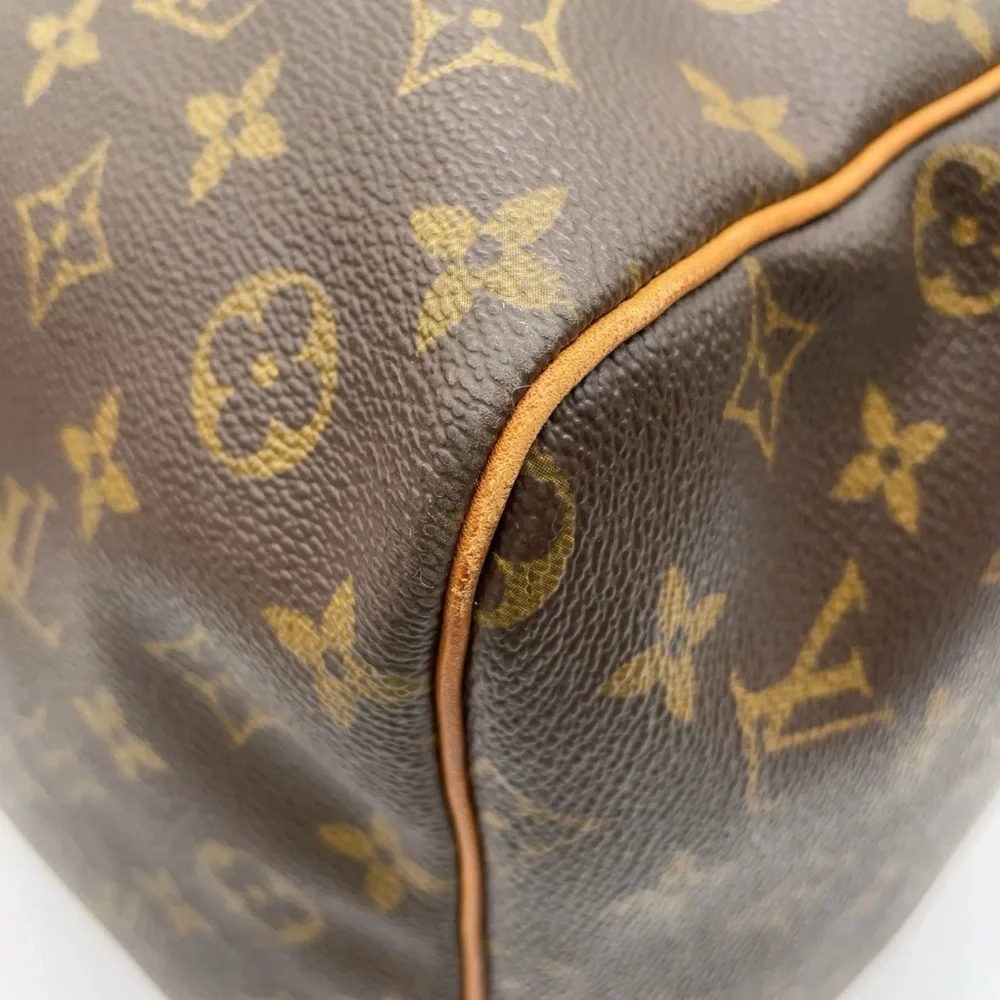 Louis Vuitton brand louis