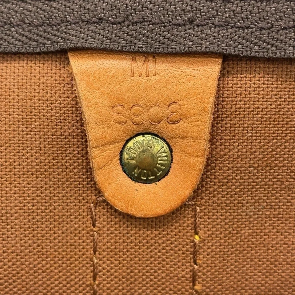 Louis Vuitton brand louis