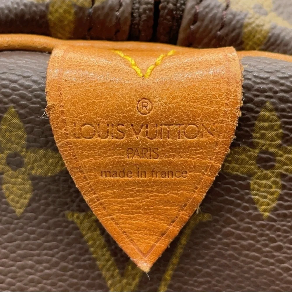 Louis Vuitton brand louis