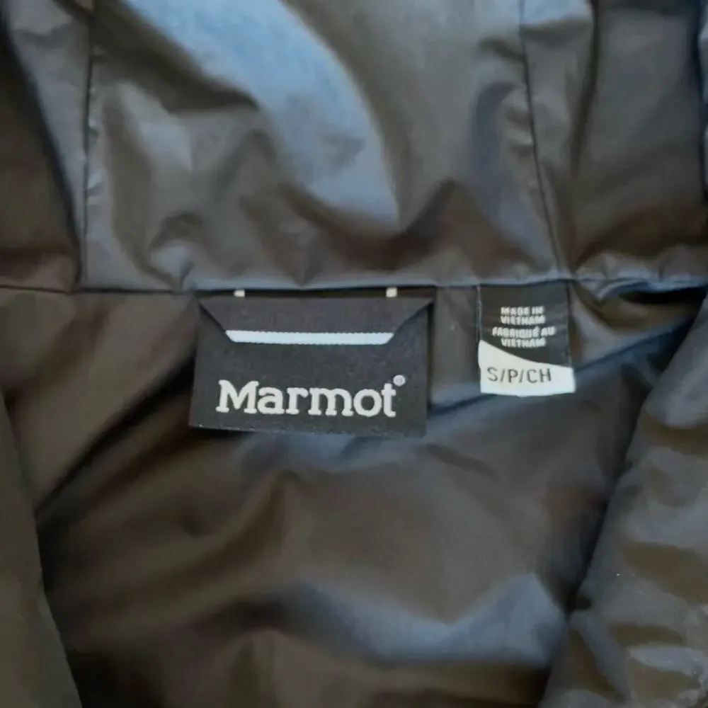 Marmot get ready