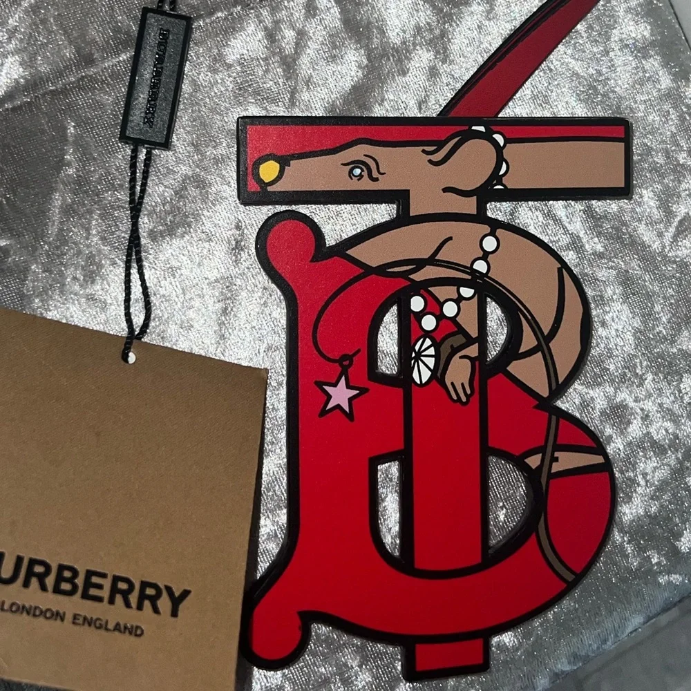 Burberry authentic new