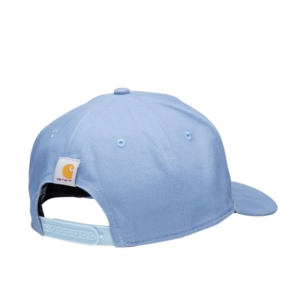 Carhartt nwt mountain