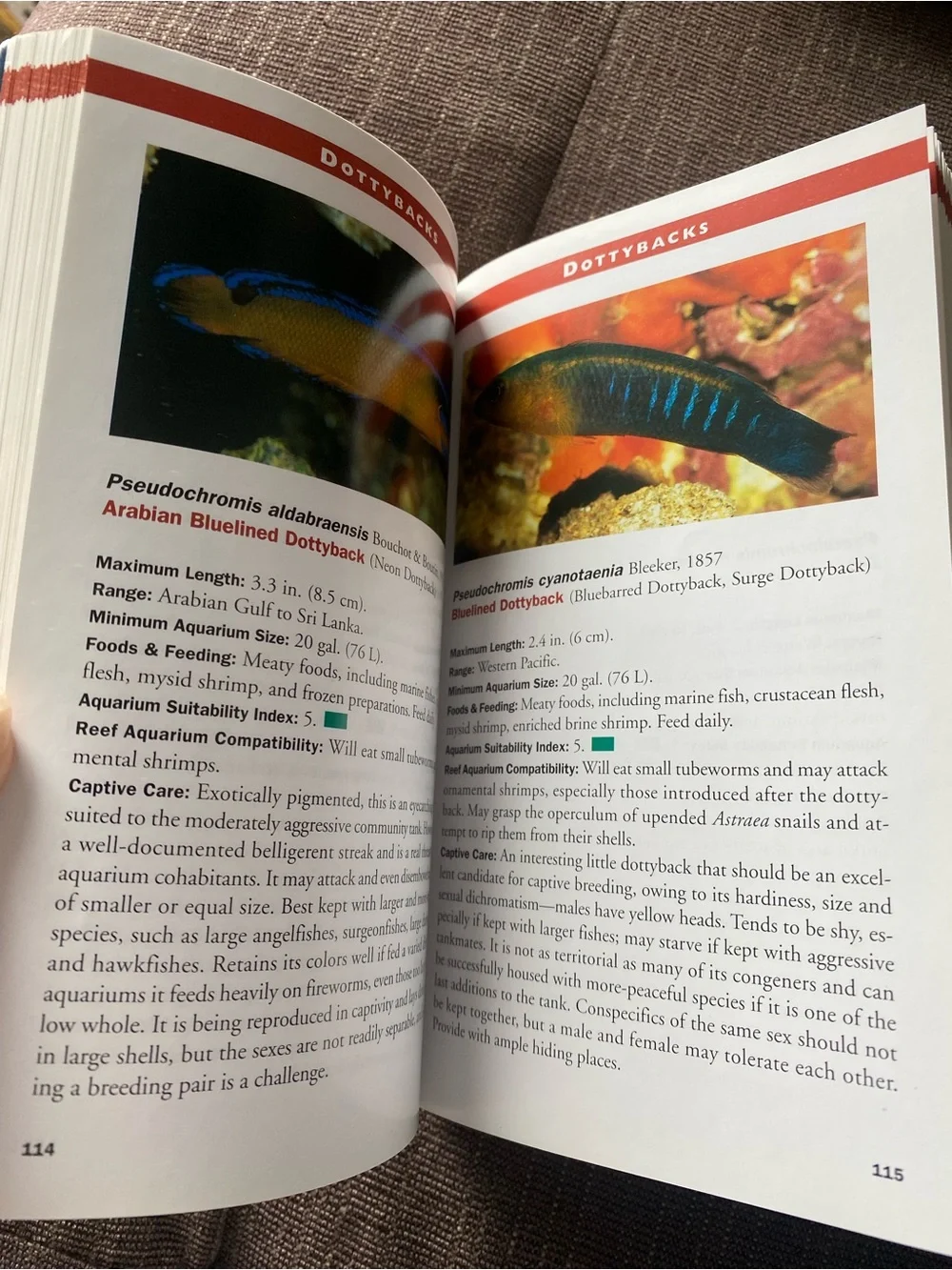 N/A paperback 448