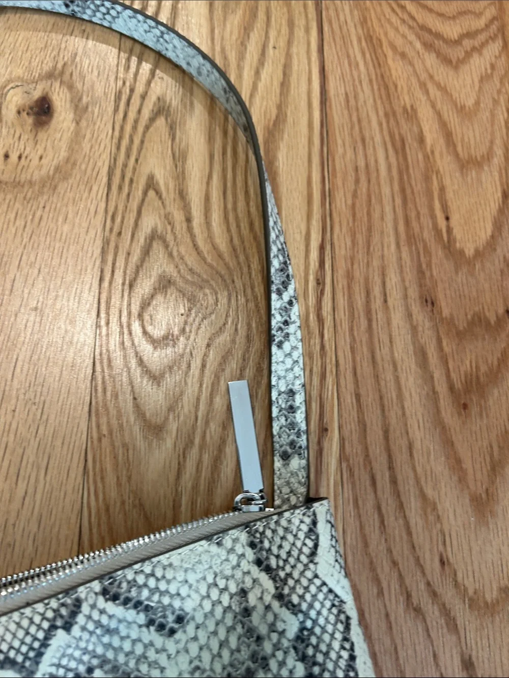 Thacker stylish snake
