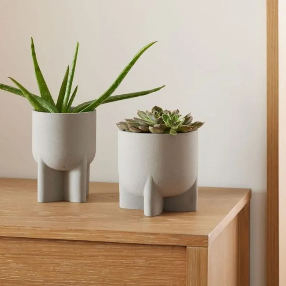West Elm bit more