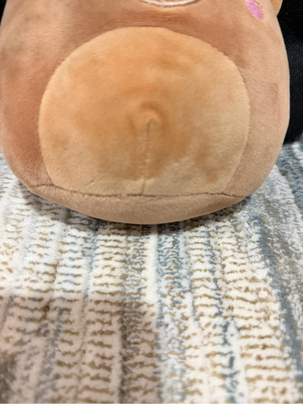 Squishmallows gentle everyday