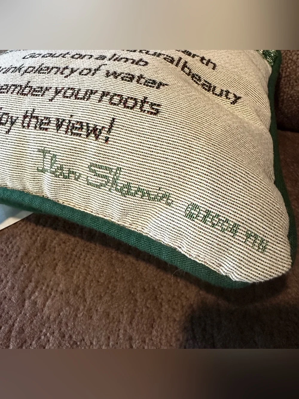 Advice From A Tree Poem Tapestry Pillow