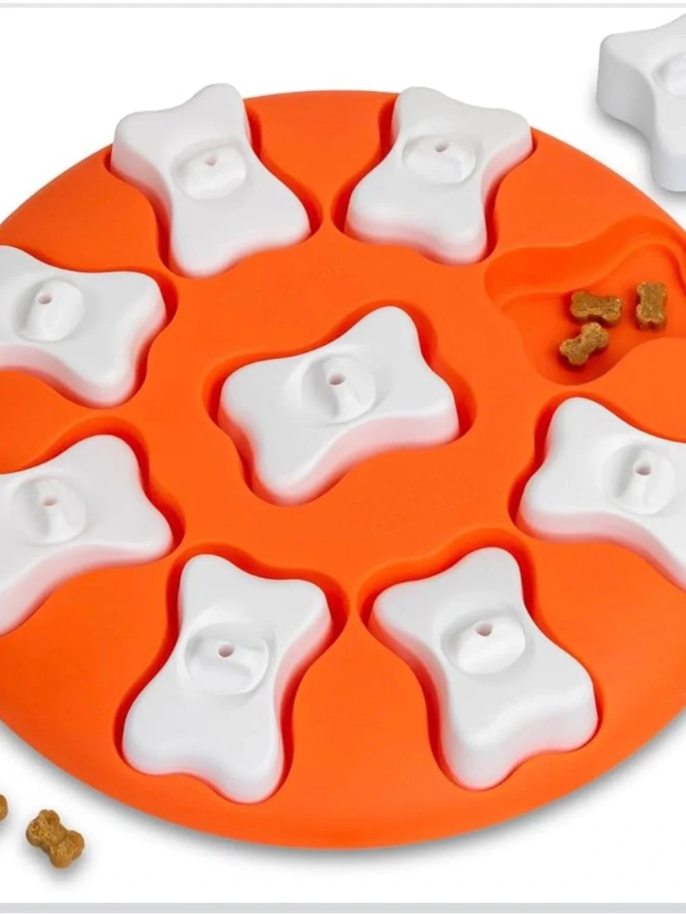 Outward Hound round interactive