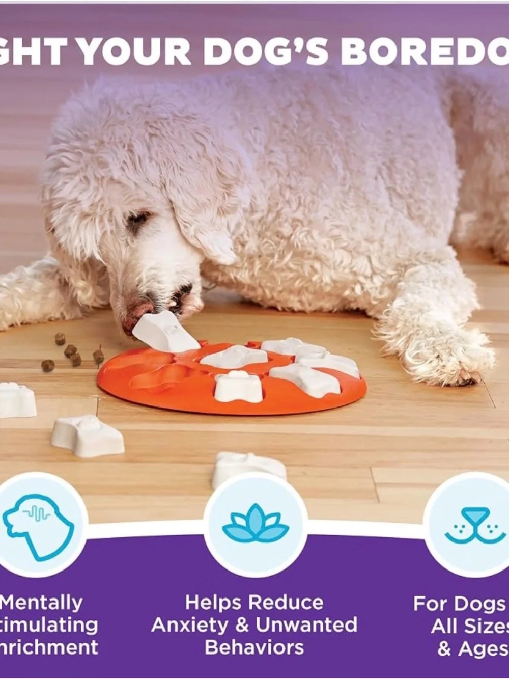 Outward Hound round interactive