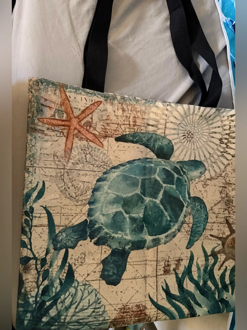 N/A turtle seascape