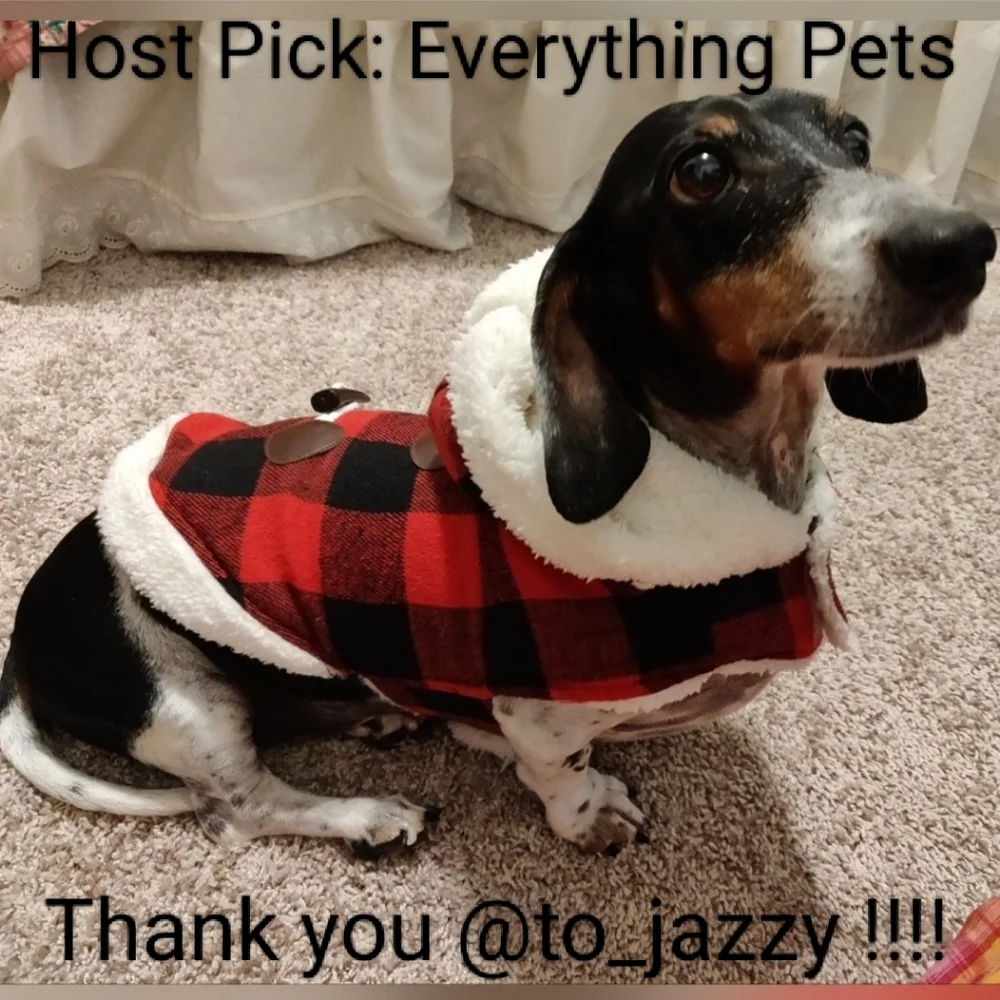 🎉3X Host Pick🎉 EUC Buffalo plaid dog coat